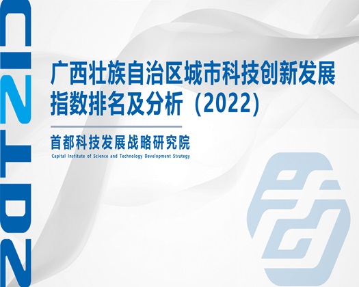 大鸡吧干入小逼【成果发布】广西壮族自治区城市科技创新发展指数排名及分析（2022）